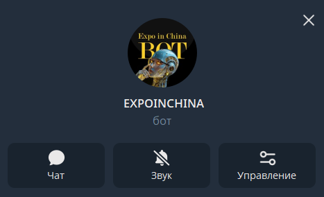 Карточка Telegram-бота EXPOINCHINA